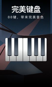钢琴模拟器全键盘纯净版